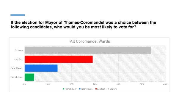Mayoral Race photo