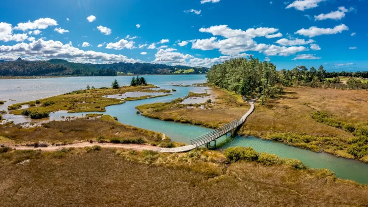 Support for Tairua River Trail Targeted photo