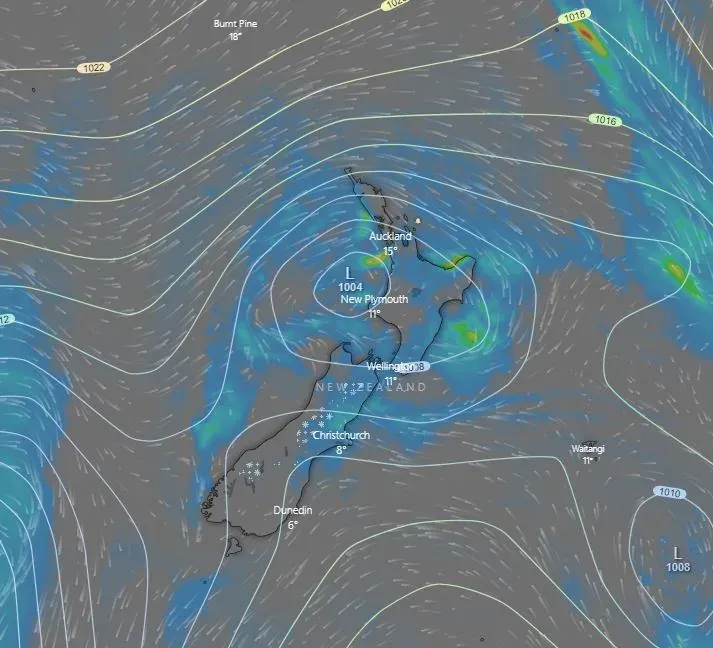 Eighty-Five Percent of Survey Respondents Impacted By Cyclone photo