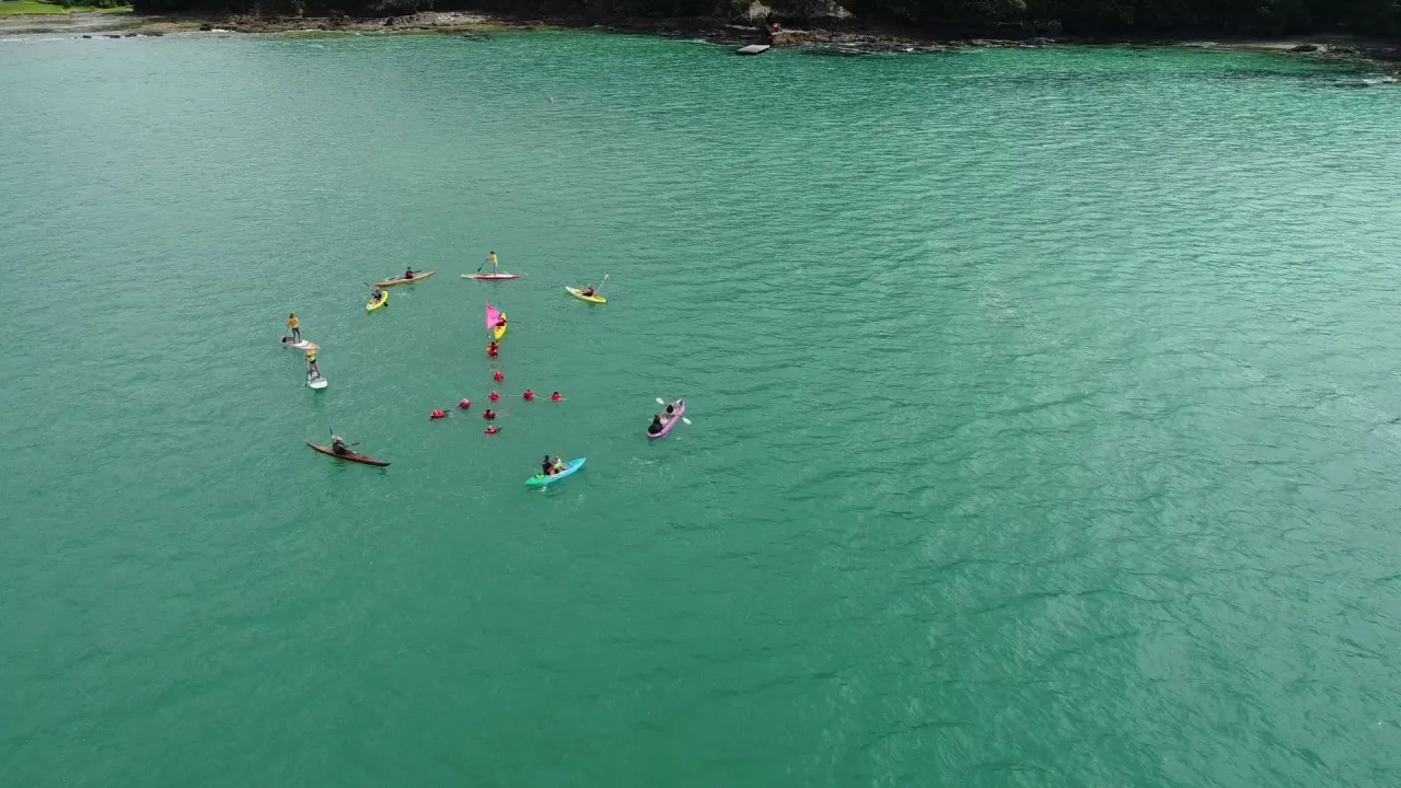 PEACE FLOTILLA AT HELENA BAY photo