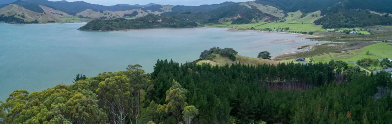 Hauraki Gulf in the Spotlight photo