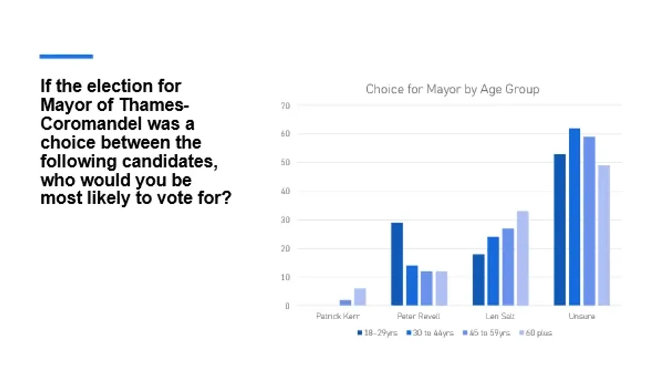 Mayoral Race photo