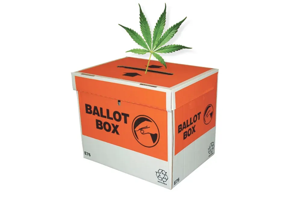 Cannabis Referendum Coromandel - CFM Radio Station
