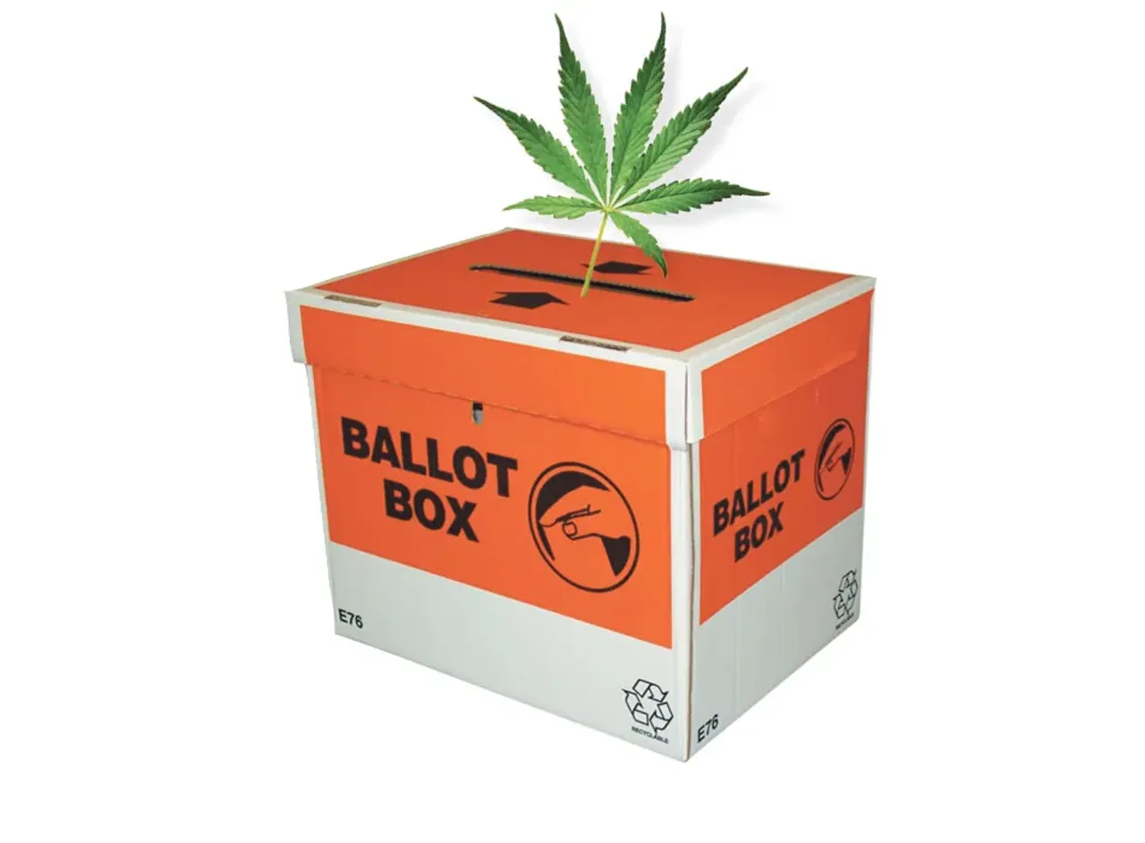 Cannabis Referendum Coromandel - CFM Radio Station