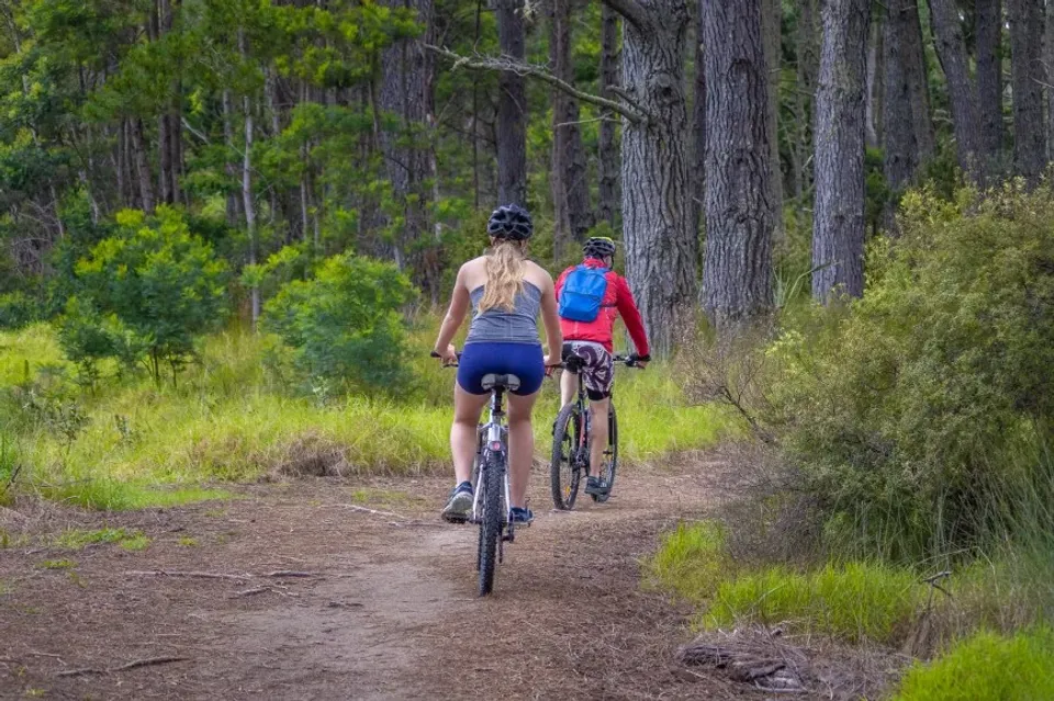 New trail will connect Tairua/Pauanui communities and create stunning one-day ride photo