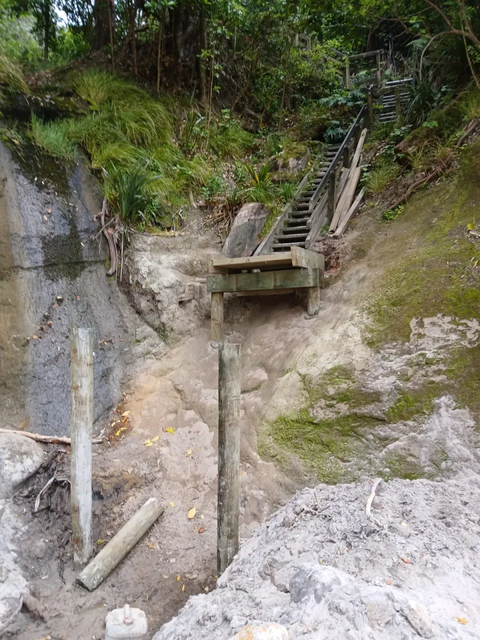 Pleas Continue to Stay Off Walking Track photo
