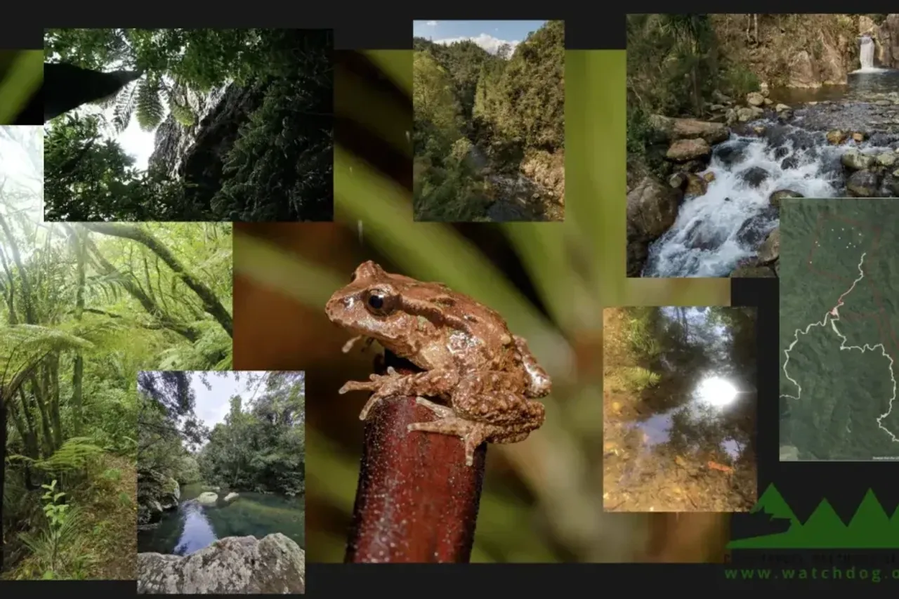 Watchdog Rally to Challenge Mine Decision photo
