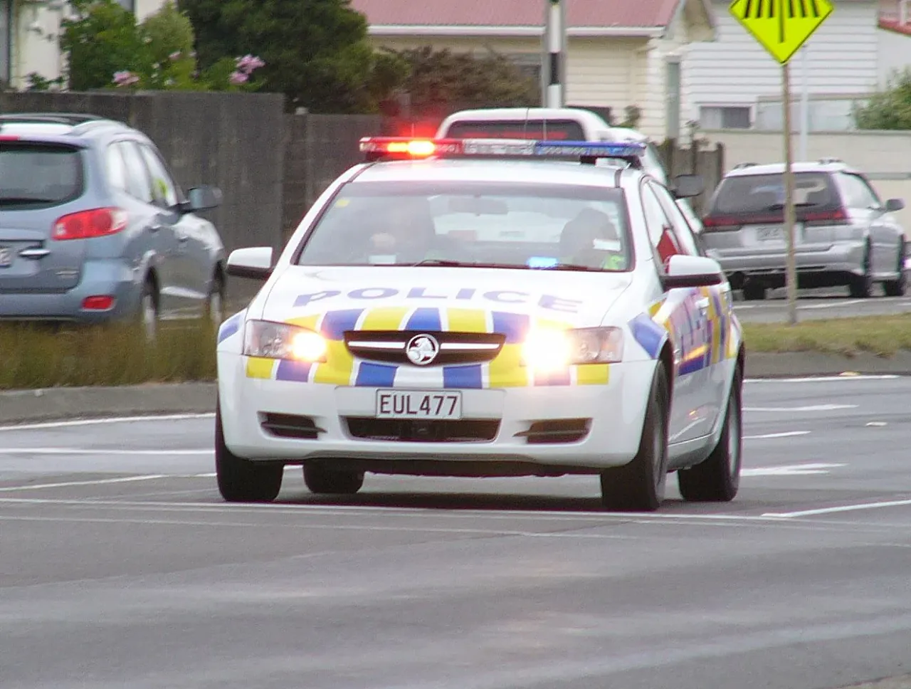 Police arrest and charge offenders following aggravated robberies in Hamilton and Thames photo