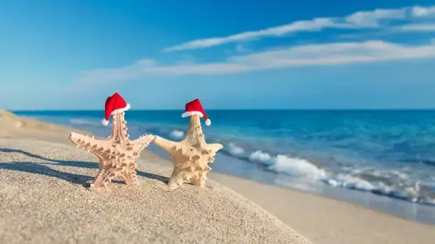 Some tips for a Safer Coromandel Holiday from Coromandel’s CFM photo