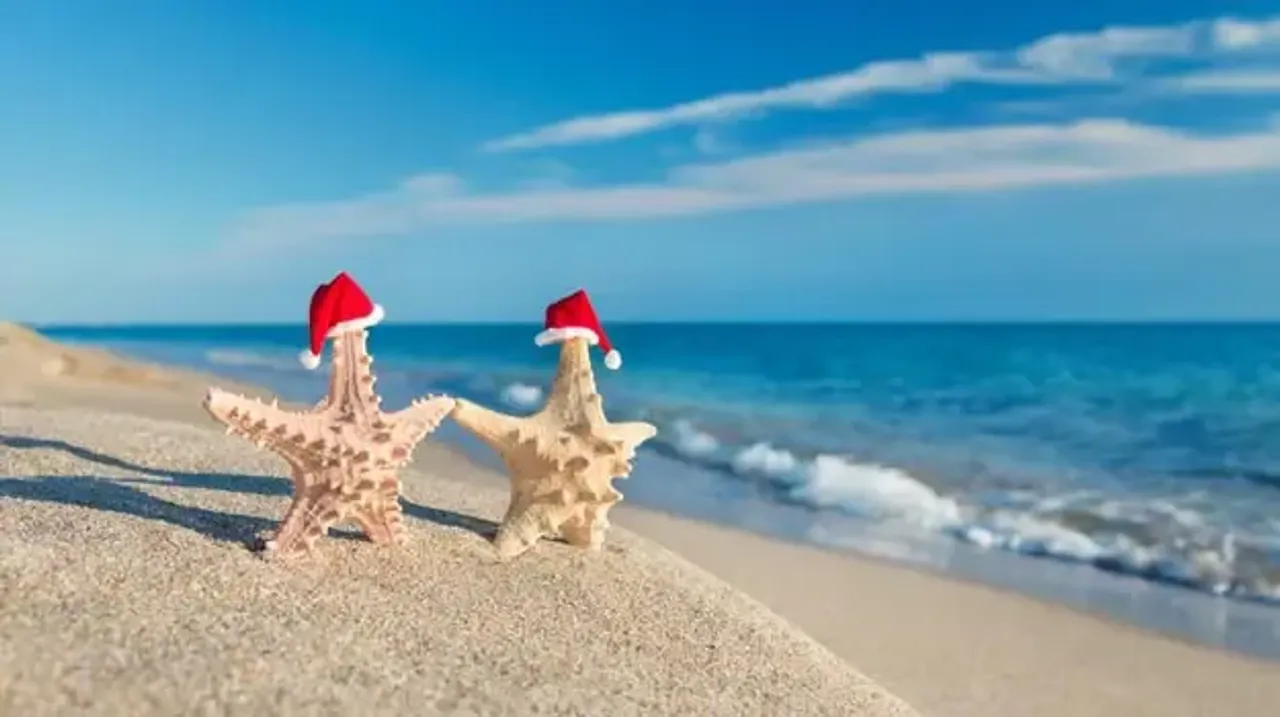 Some tips for a Safer Coromandel Holiday from Coromandel’s CFM photo