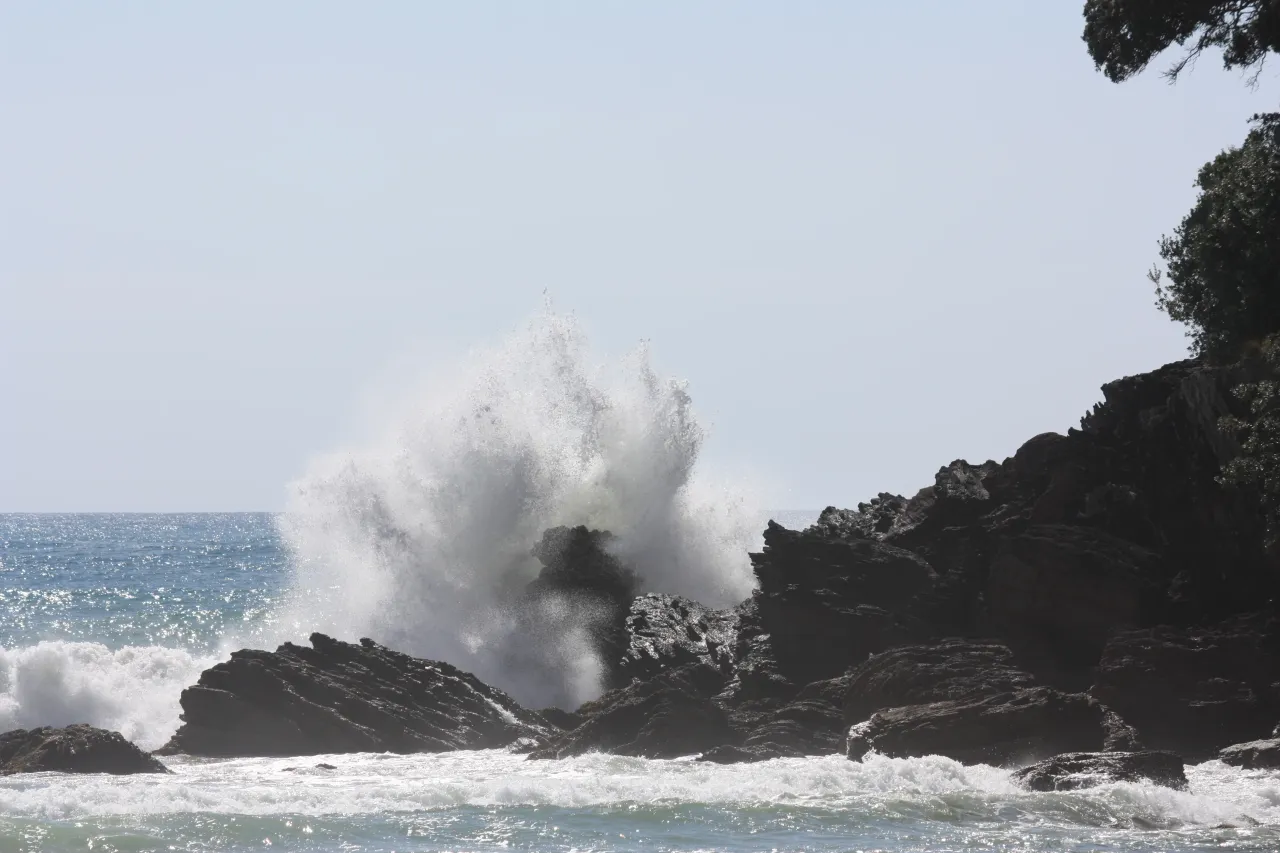 Tragedy Averted – Rescuers Want Those Involved to Rethink Their Actions photo