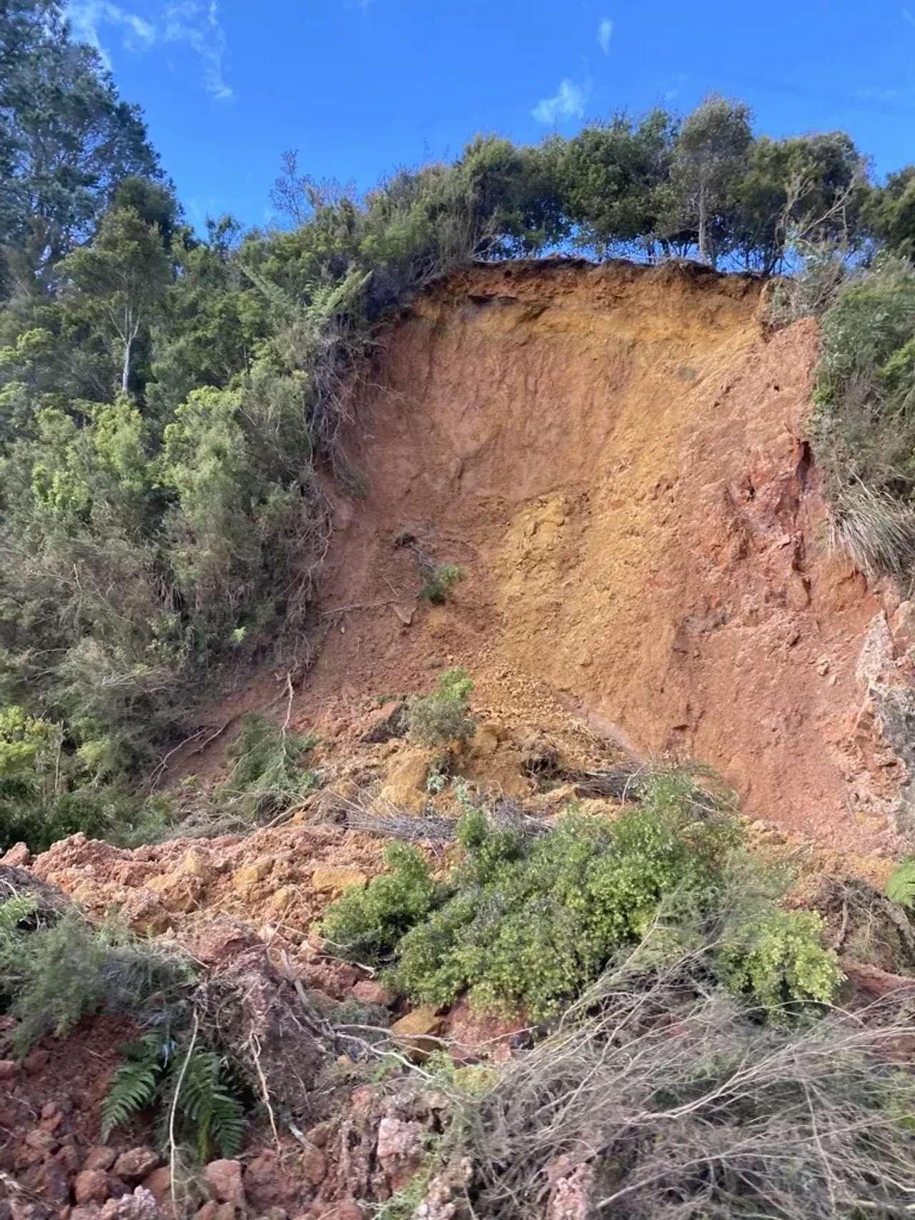 Survey – Impacts Resulting From Summer Weather Events photo