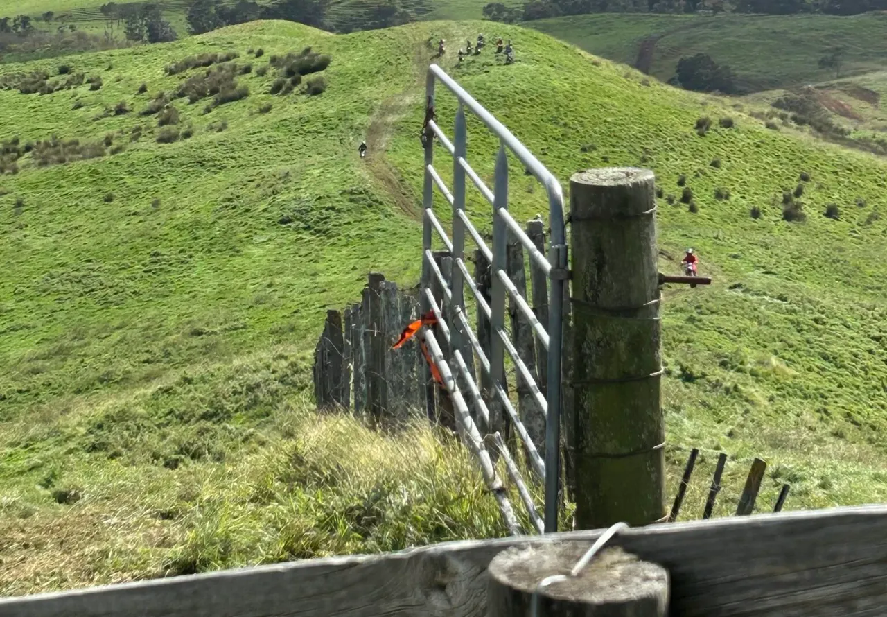 Deer Hunt As Animals Back On The Peninsula photo
