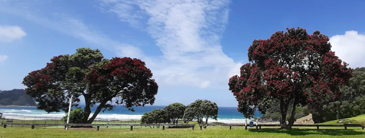 Tourism Levy to Relieve Ratepayer Costs photo