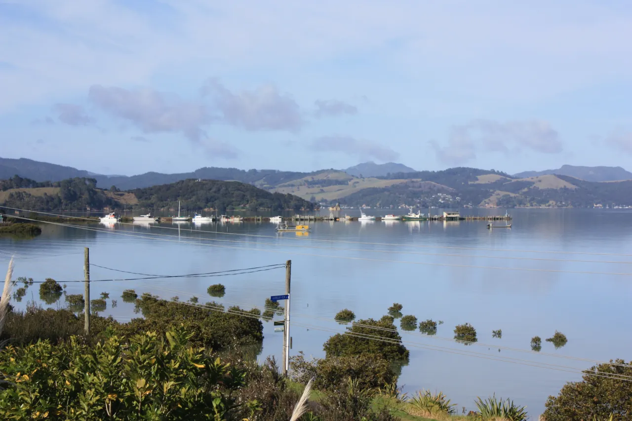 Ferryman Urges Public Support To Achieve Service Viability and Growth photo