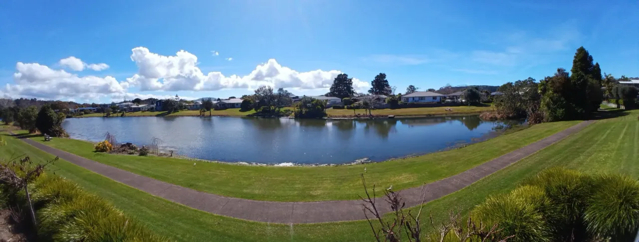 Documents Reveal Why Delays Plagued Carp Release for Cooks Beach photo