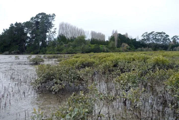 No Sinking Feeling for Harbour Care photo