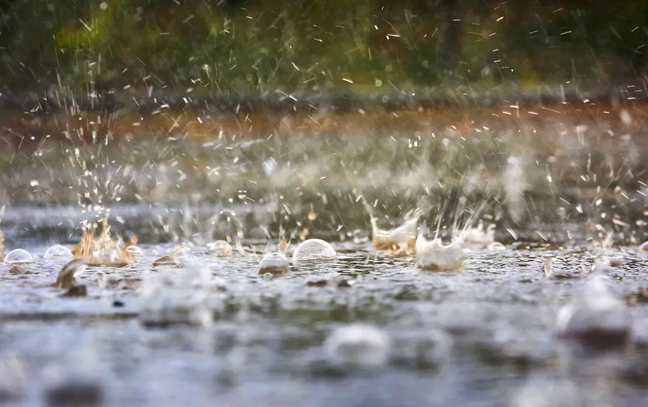 Western Bay Uses Iwi Considerations to Turn Off Water Proposal photo