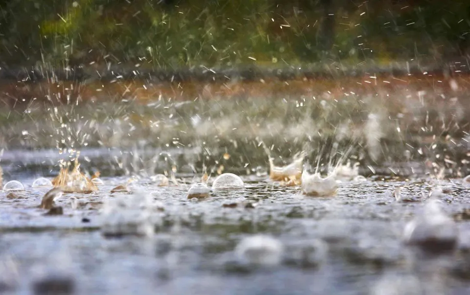 HEAVY RAIN AND STRONG WIND WARNING ISSUED FOR COROMANDEL FROM TUESDAY EVENING photo