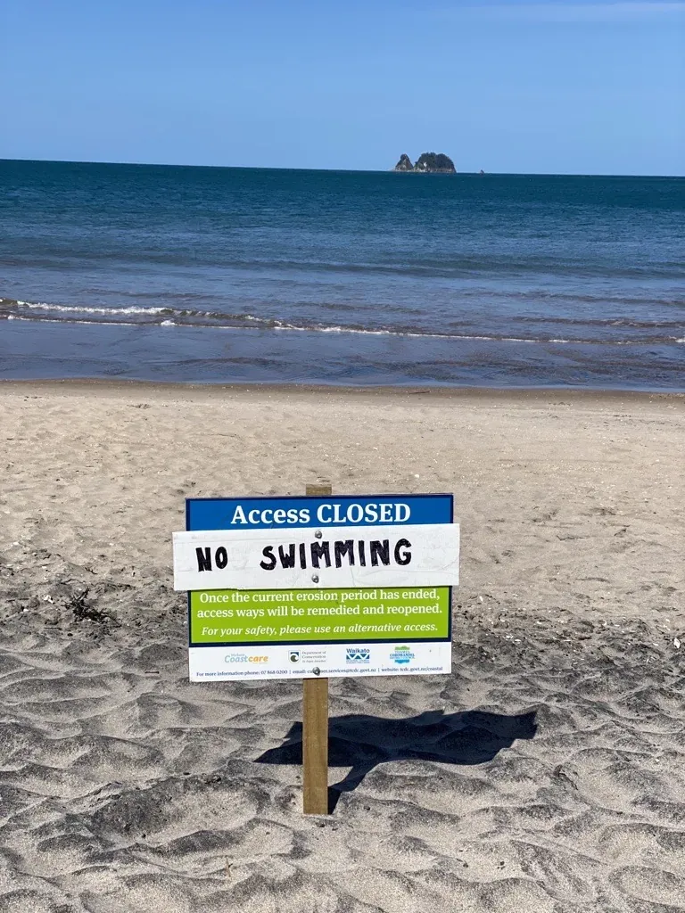 Disposal of Dead Sperm Whale At Wharekaho (Simpsons) Beach To Be Decided Soon photo