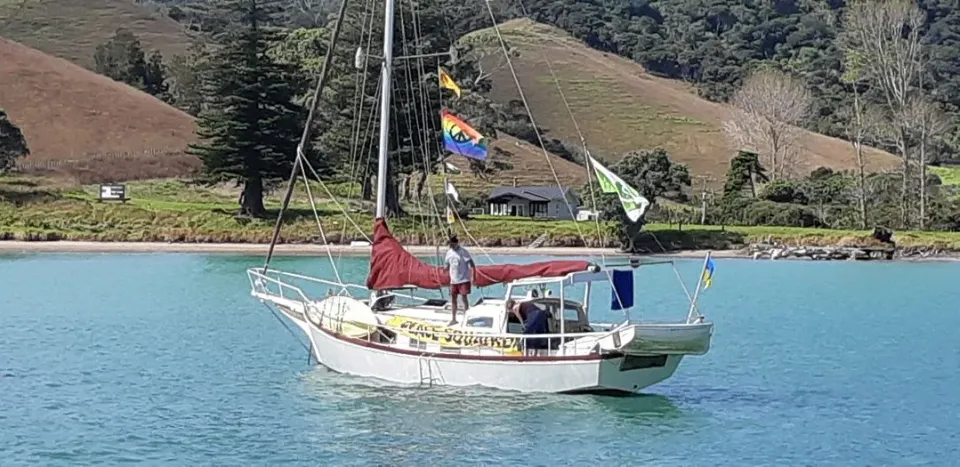 PEACE FLOTILLA AT HELENA BAY photo