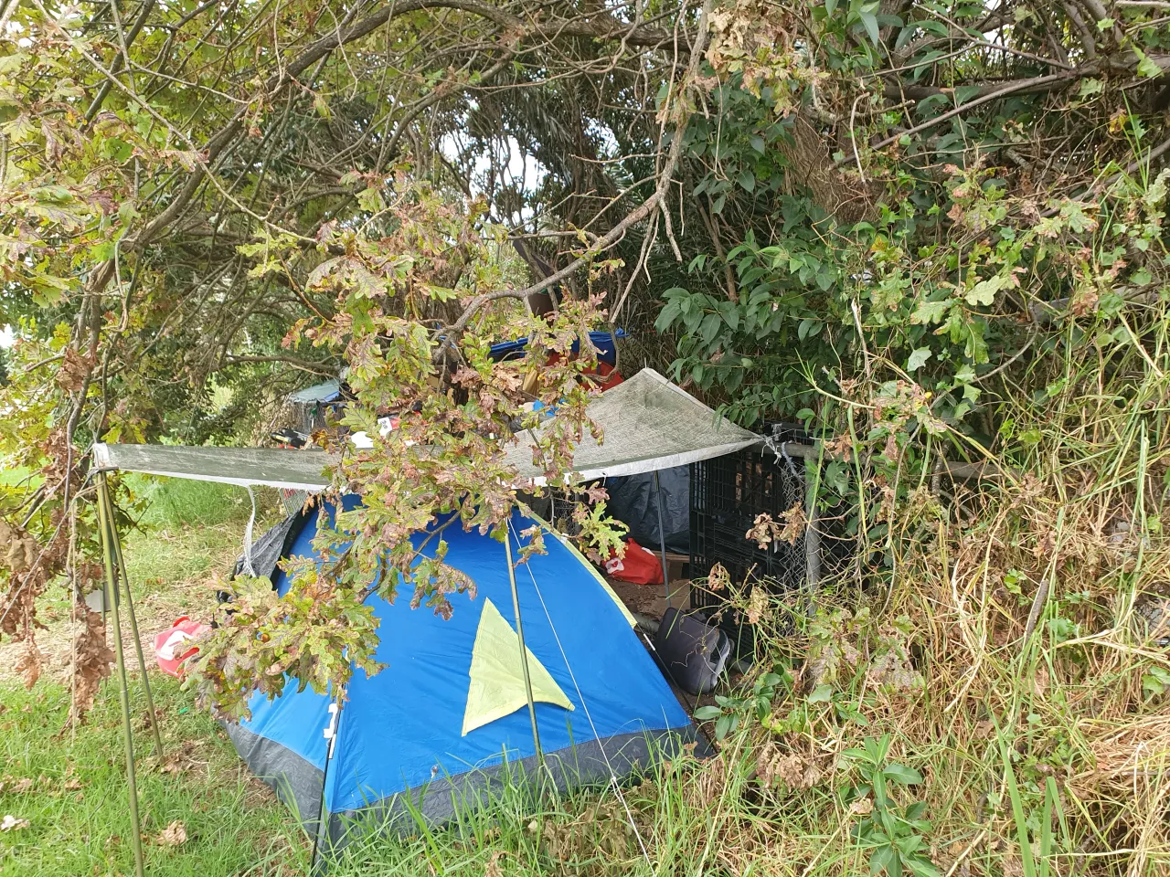 Living Rough in Thames Mangroves photo